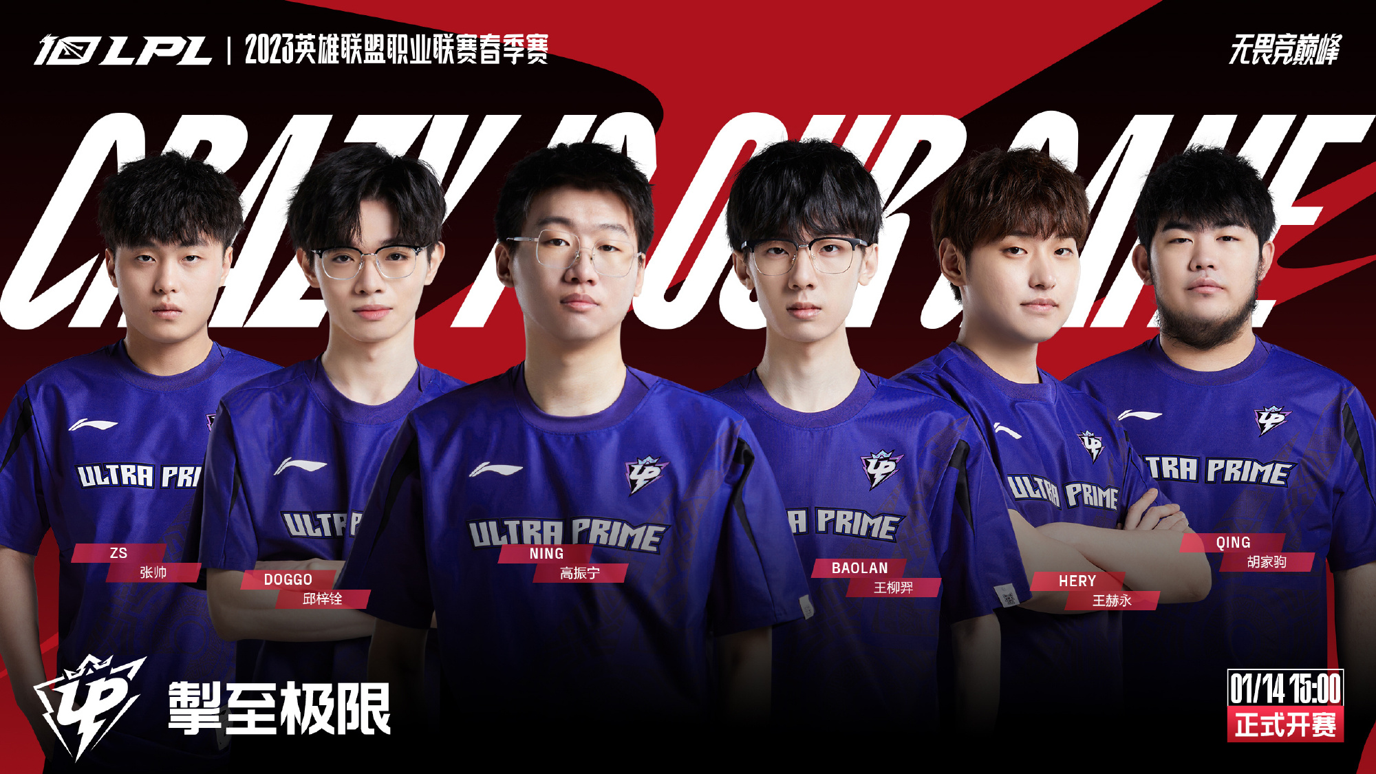 中的观赏性 中的观赏性